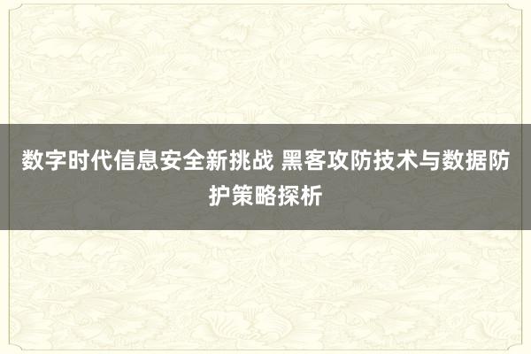 数字时代信息安全新挑战 黑客攻防技术与数据防护策略探析