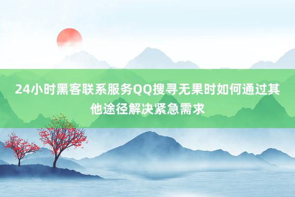 24小时黑客联系服务QQ搜寻无果时如何通过其他途径解决紧急需求