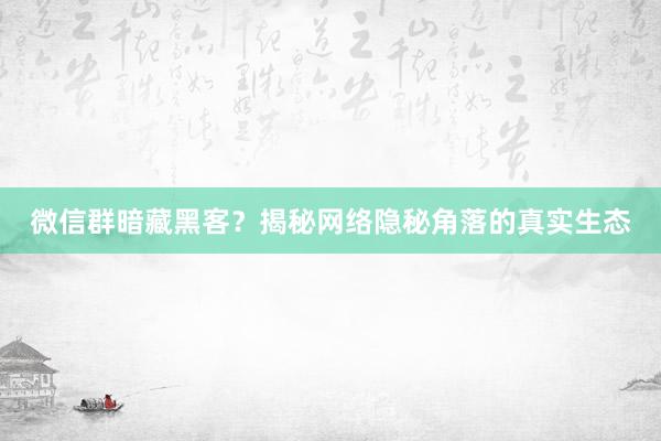 微信群暗藏黑客？揭秘网络隐秘角落的真实生态